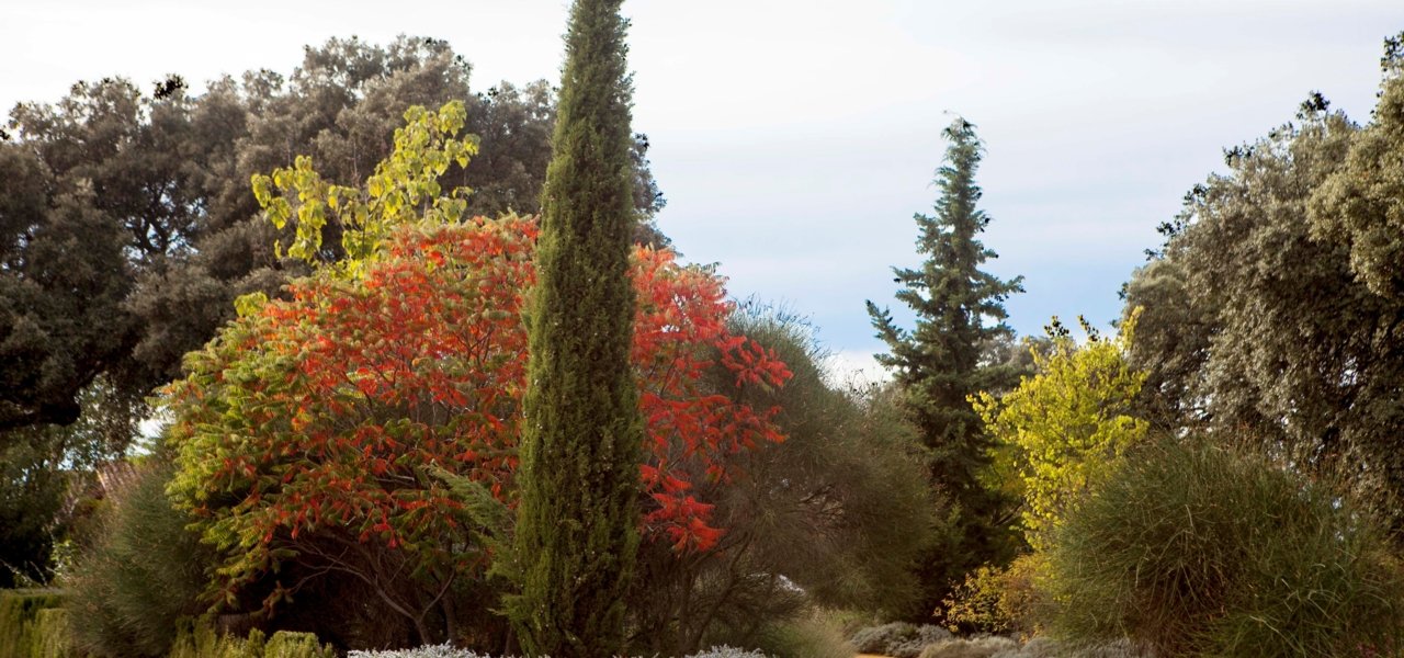 GARDEN NEAR THE VINEYARD WITH 400 DIFFERENTS PLANTS